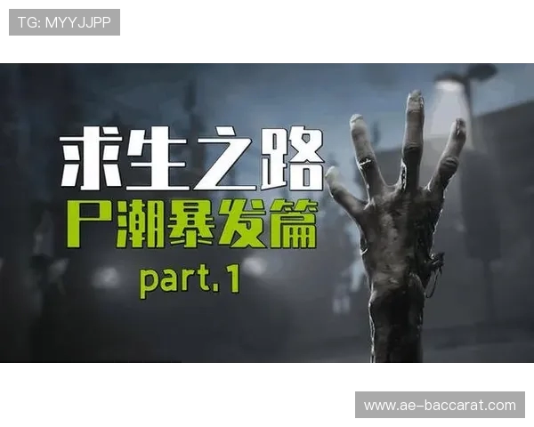 《飞行事故后的生死逃生挑战：捡拾飞机零件重建求生之路》