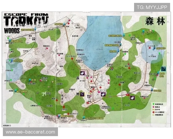 塔科夫游戏帧数优化指南全面解析提升流畅度与稳定性的实用设置技巧 塔科夫游戏帧数优化指南全面解析提升流畅度与稳定性的实用设置技巧